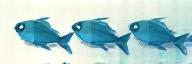 Decorative school of fish